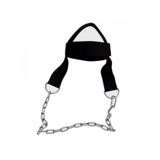 Head Harness